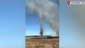 VIDEO Incendii de vegetație devastatoare în județul Timiș. Peste 200 de hectare au fost afectate